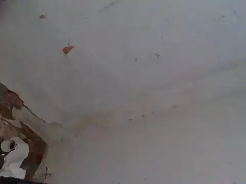 AlanDickson webcam