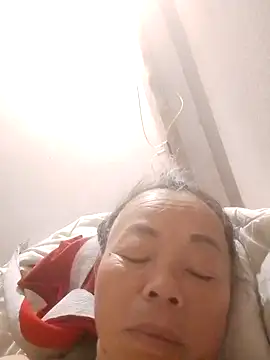 VangLe73 webcam