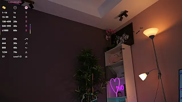 Vesya webcam