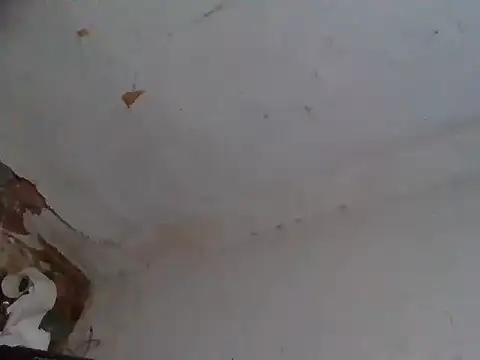 AlanDickson webcam