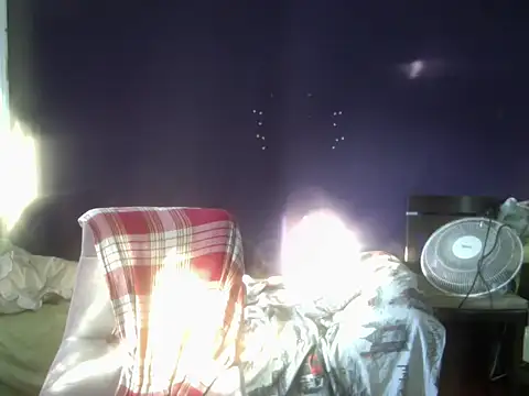 turkishTransEfsun webcam