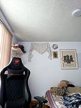 Siriss_boyrag webcam