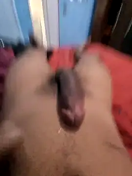 picademelpk222 webcam