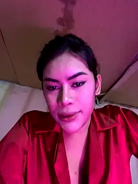 hechanovaa webcam