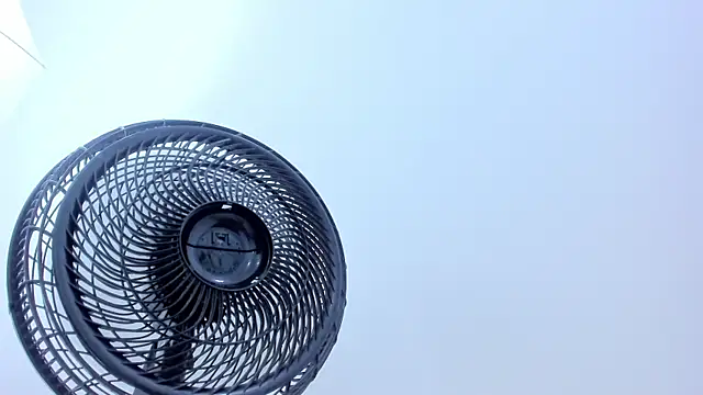 MadissonCollins_ webcam