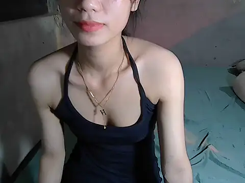 Evetiica webcam