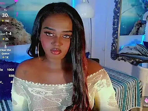 TheperfectblackTS webcam