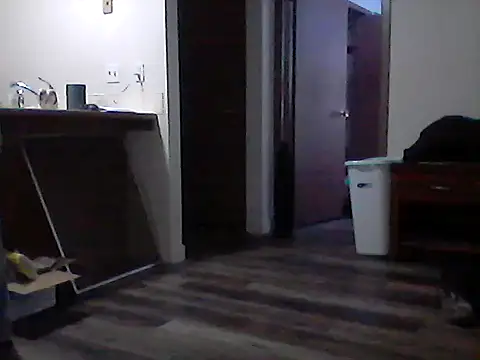 Eclipticice94 webcam