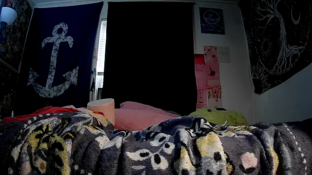 ATwinkie webcam