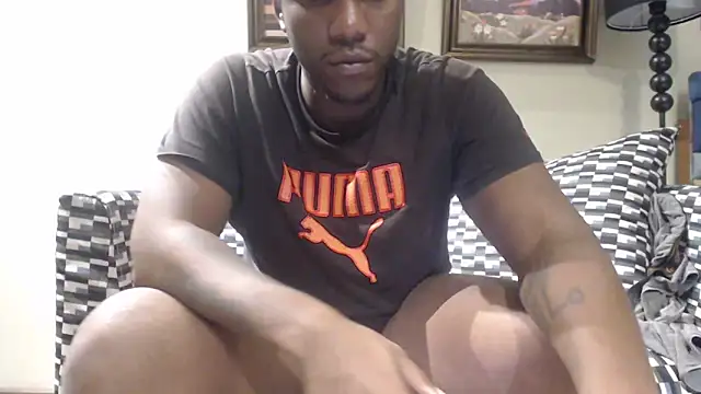 Fireladozai webcam