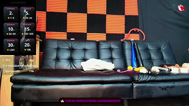 Dreamer8183 webcam