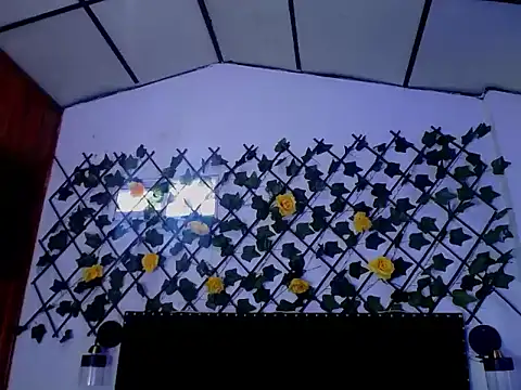 vzarayjonesper webcam