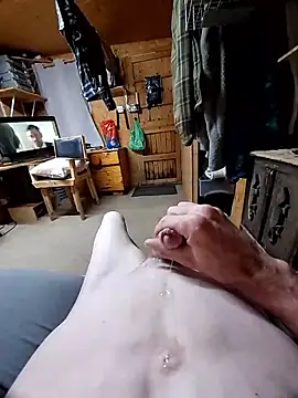daiwantu webcam