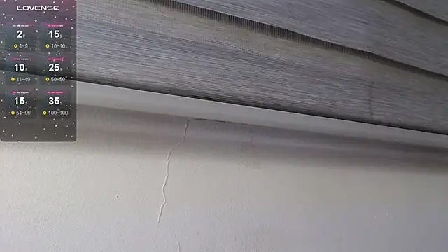 palmer_mIix webcam