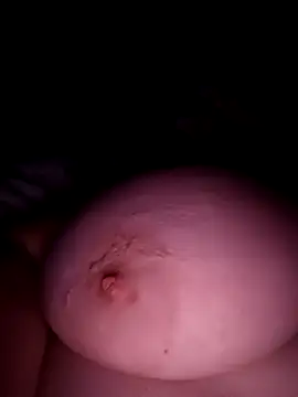 poussychats