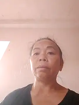 VangLe73 webcam
