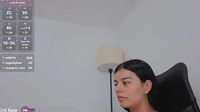 valerihouse webcam