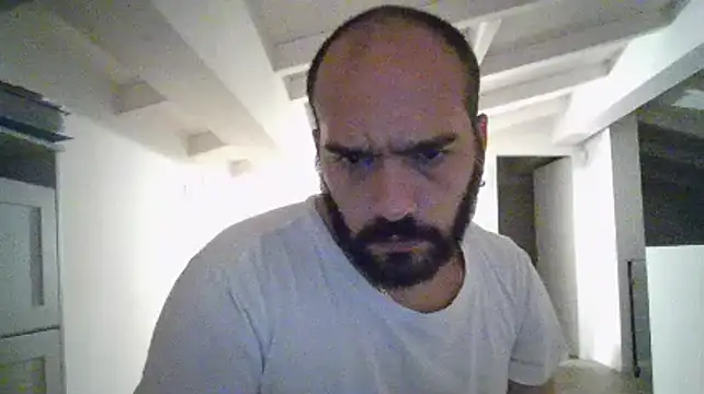 skydanma webcam