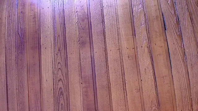 danika_mori1 webcam