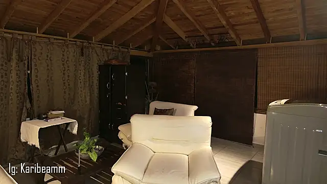 Karibeam webcam