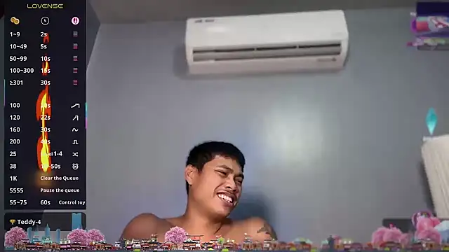 UnstoppableDuo webcam