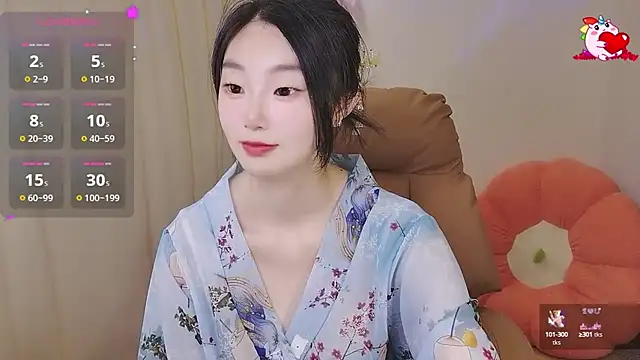 shaovu webcam