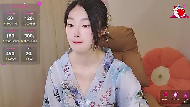 shaovu webcam