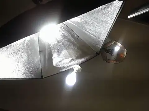 KinkyJ_ webcam