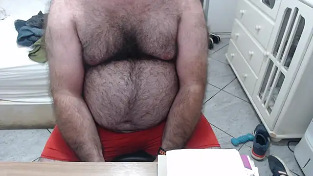 MysterBearMG webcam