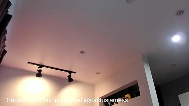 Cactus__James webcam
