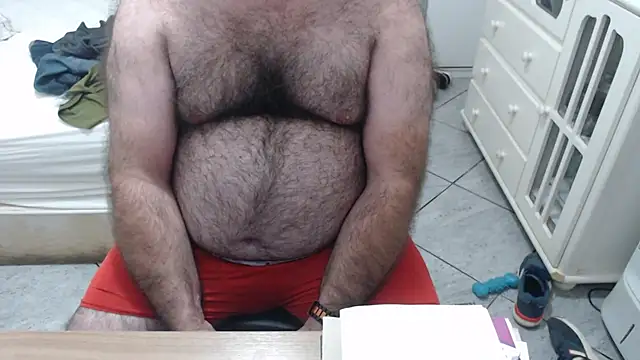 MysterBearMG webcam