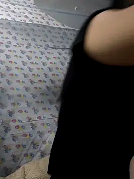 Sasunh webcam