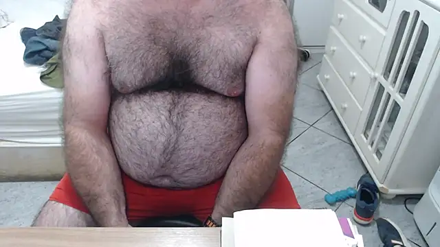 MysterBearMG webcam