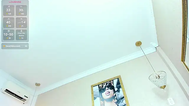 Genesisrayden