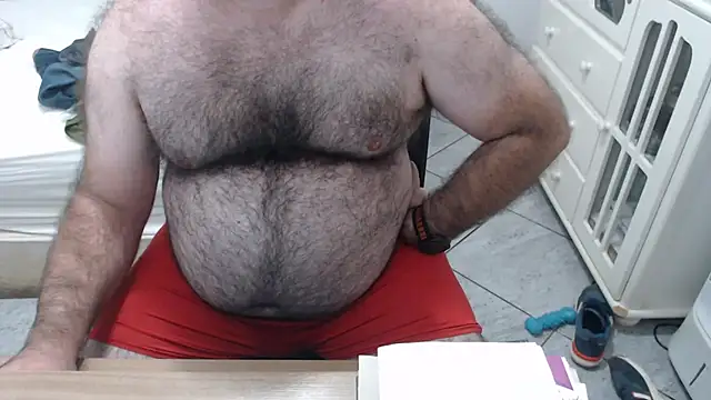 MysterBearMG webcam
