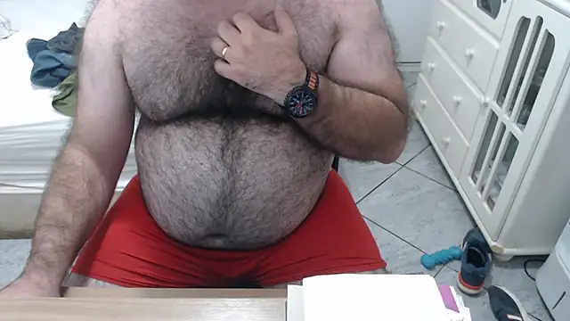 MysterBearMG webcam