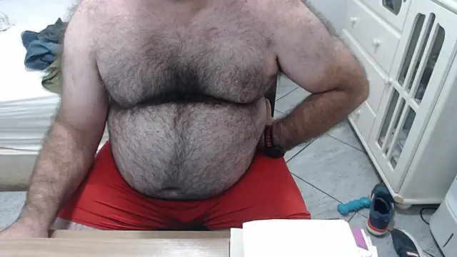 MysterBearMG webcam