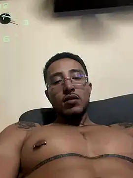 andrusstik webcam