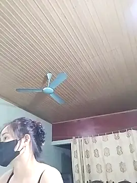 Lee-Nguyen webcam