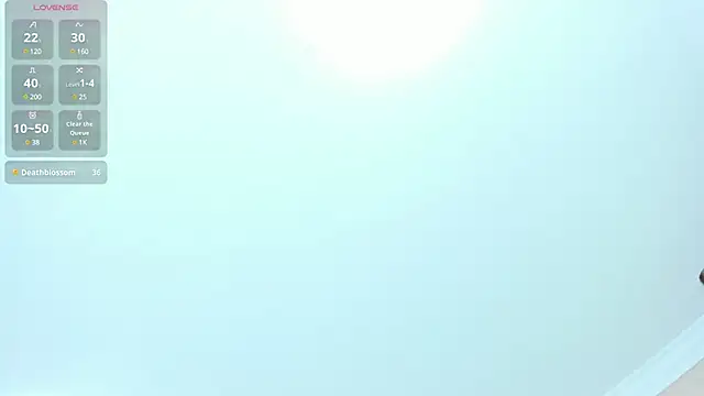 Genesisrayden webcam