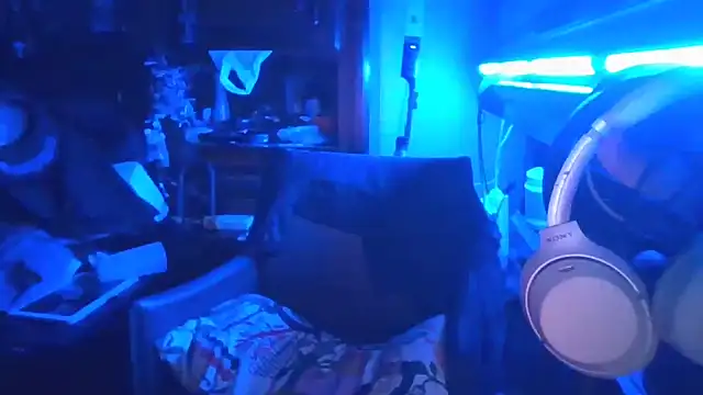 29zipman webcam