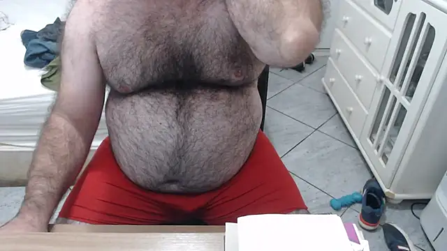 MysterBearMG webcam