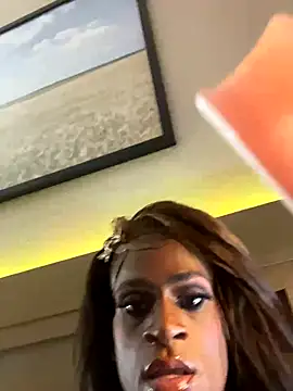 BashaDPT webcam