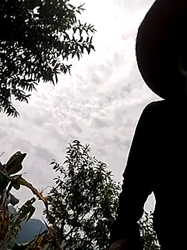 pochgt webcam