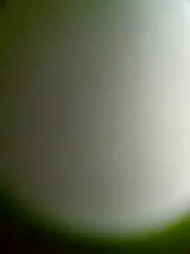 ayushdas7482 webcam