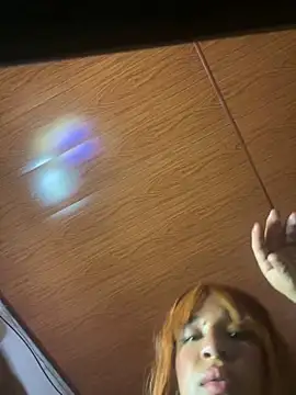 Terra_sunlight webcam