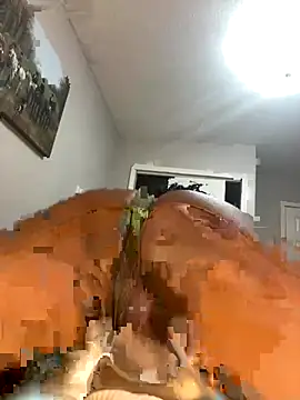 CaramelDipper webcam