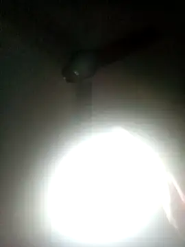 BBC-DICCGOD webcam