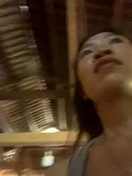 ThiHa003 webcam