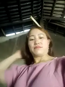 lvlimai webcam